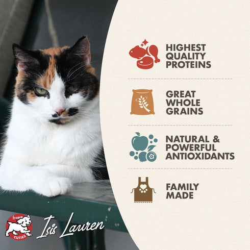 Fromm Adult Gold Dry Cat Food - Chicken & Duck - 10lb Bag